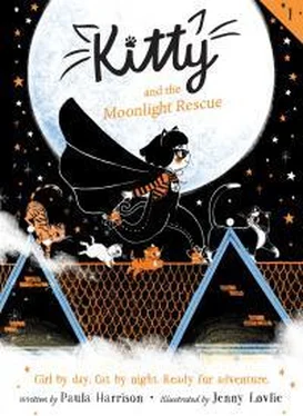 Пола Харрисон Kitty And The Moonlight Rescue обложка книги