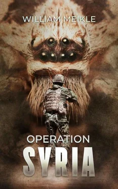 Уильям Мейкл Operation: Syria обложка книги