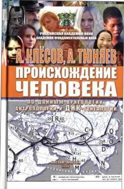 Анатолий Клёсов Происхождение человека (по данным археологии, антропологии и ДНК-генеалогии) обложка книги