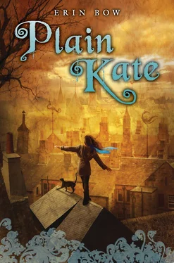 Erin Bow Plain Kate обложка книги