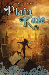 Erin Bow - Plain Kate