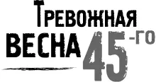 Глава 1 Александр Васильков обогнал миловидную девушку и случайно задел - фото 1