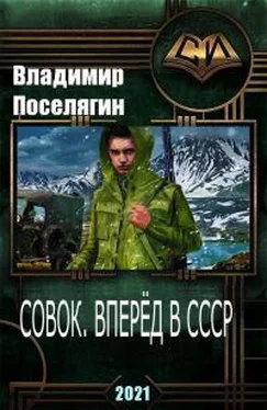 Владимир Поселягин Совок. Вперёд в СССР обложка книги