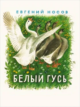 Евгений Носов Белый гусь обложка книги