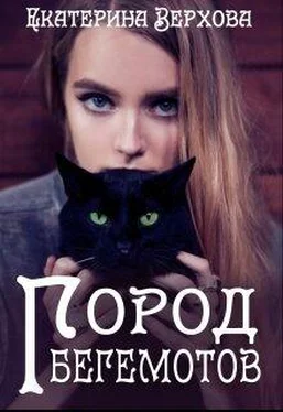 Екатерина Верхова Город Бегемотов [СИ] обложка книги