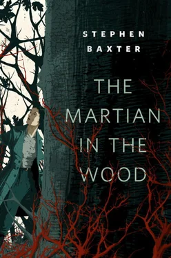 Stephen Baxter The Martian in the Wood обложка книги