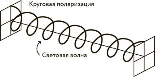 Схема линейной и круговой поляризации Все живые существа воспринимают мир - фото 17