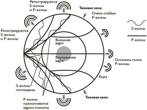 Схема распространения Sволн и Pволн внутри планеты Вернемся в ад На - фото 9