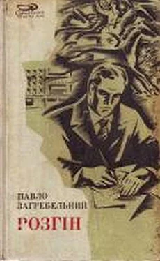 Павло Загребельний Розгін обложка книги