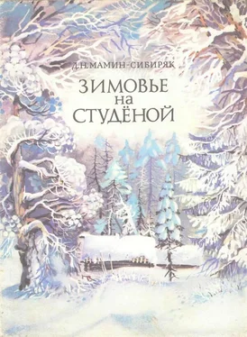 Дмитрий Мамин-Сибиряк Зимовье на Студеной [Рассказ] обложка книги