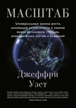 Джеффри Уэст Масштаб. Универсальные законы роста, инноваций, устойчивости и темпов жизни организмов, городов, экономических систем и компаний обложка книги