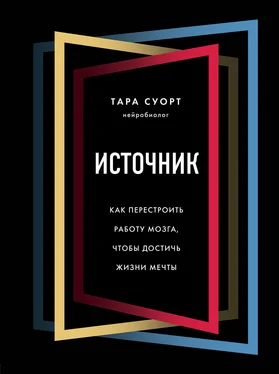 Тара Суорт Источник. Как перестроить работу мозга, чтобы достичь жизни мечты обложка книги