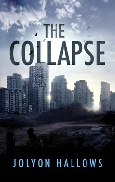 Jolyon Hallows The Collapse обложка книги