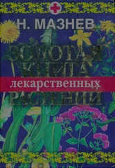 Николай Мазнев - Золотая книга лекарственных растений
