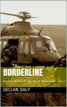 Declan Daly Borderline: An Oral History of the Brexit Wars 2020-2022 обложка книги