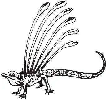Longisquama insignis Кроме перьев лонгисквама удивительна и остальными - фото 22