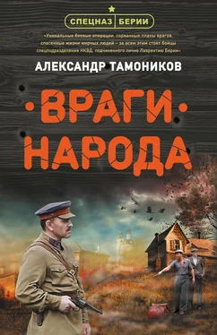 Александр Тамоников Враги народа обложка книги