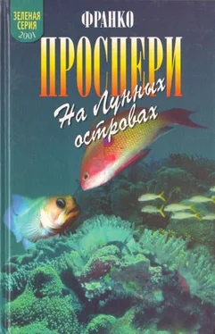 Франко Проспери На Лунных островах обложка книги