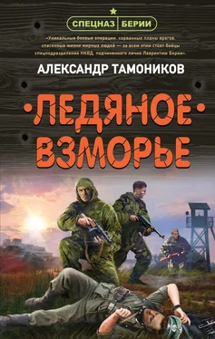 Александр Тамоников Ледяное взморье обложка книги