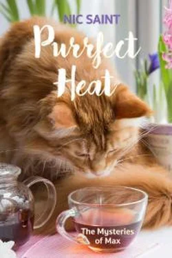 Ник Сайнт Purrfect Heat обложка книги