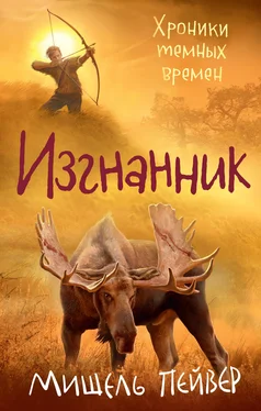 Мишель Пейвер Изгнанник [litres] обложка книги