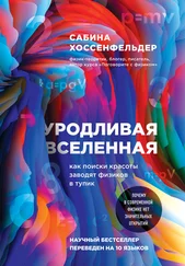 Сабина Хоссенфельдер - Уродливая Вселенная [Как поиски красоты заводят физиков в тупик]