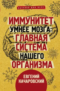 Евгений Качаровский Иммунитет умнее мозга. Главная система нашего организма обложка книги