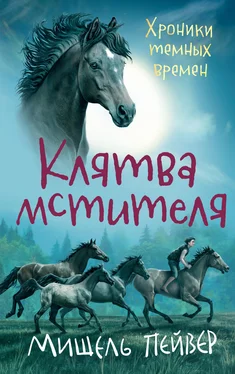 Мишель Пейвер Клятва мстителя [= Клятвопреступник] [litres] обложка книги