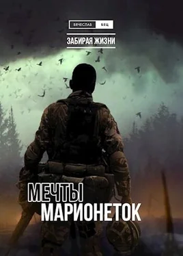 Вячеслав Бец Мечты марионеток обложка книги