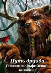 Сергей Баранников - Спасение эльфийской княжны