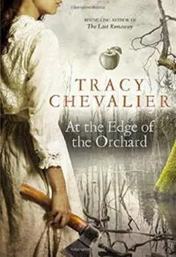 Трейси Шевалье At the Edge of the Orchard обложка книги