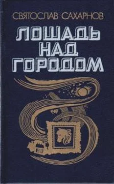 Святослав Сахарнов Лошадь над городом обложка книги