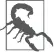 картинка 217