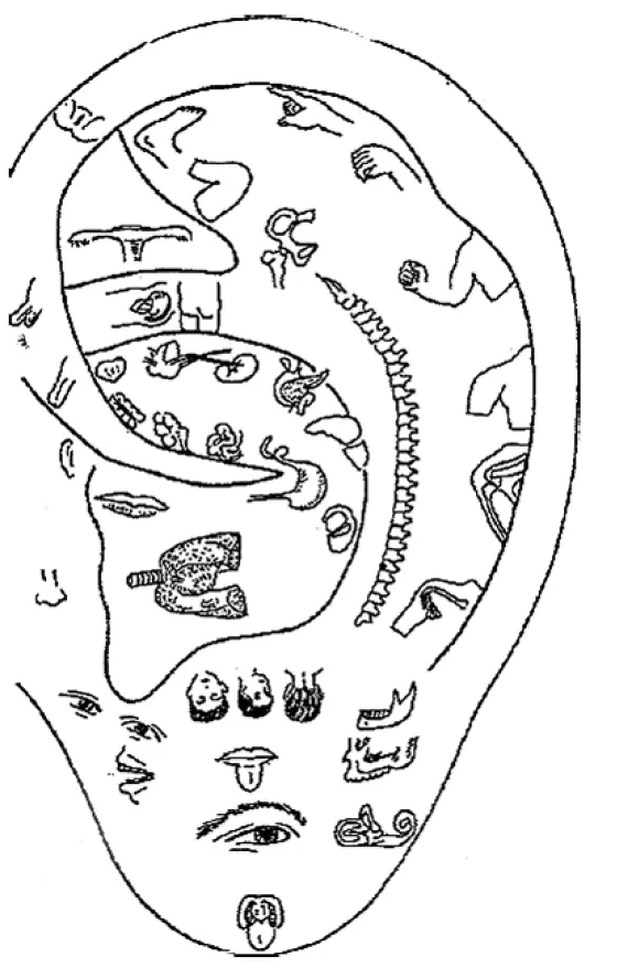 Предисловие магия наружного уха С древнейших времен наружное ухо человека - фото 1