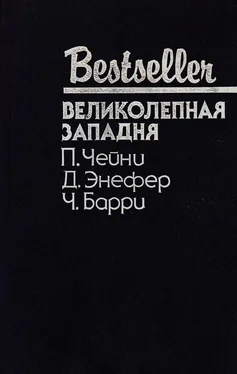 Питер Чейни Великолепная западня обложка книги