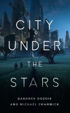 Гарднер Дозуа City Under the Stars обложка книги