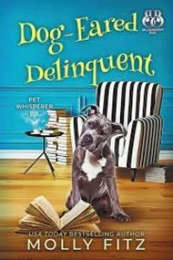 Молли Фитц Dog-Eared Delinquent обложка книги