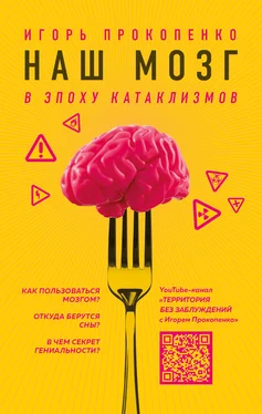 Игорь Прокопенко Наш мозг в эпоху катаклизмов обложка книги