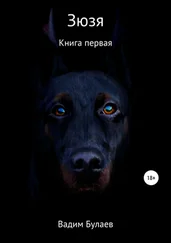 Вадим Булаев - Зюзя. Книга первая