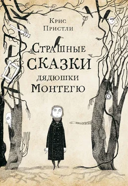 Крис Пристли Страшные истории дядюшки Монтегю [litres] обложка книги