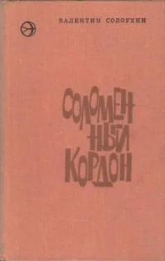 Валентин Солоухин Соломенный кордон [Рассказы и повести] обложка книги