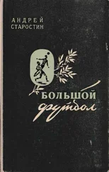 Андрей Старостин - Большой футбол