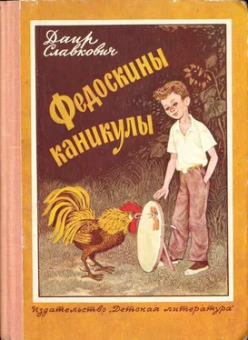 Даир Славкович Федоскины каникулы обложка книги