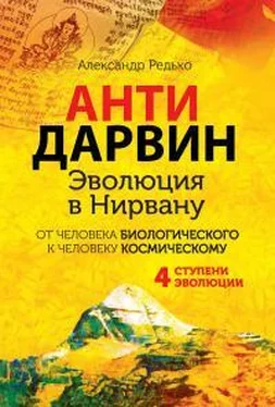 Александр Редько Антидарвин. Эволюция в Нирвану обложка книги