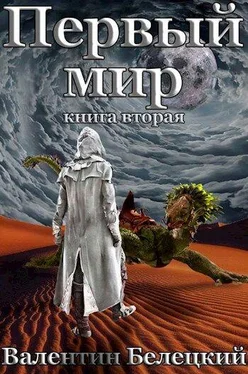 Валентин Белецкий Первый мир. Книга 2 обложка книги