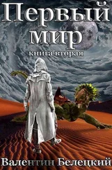 Валентин Белецкий - Первый мир. Книга 2