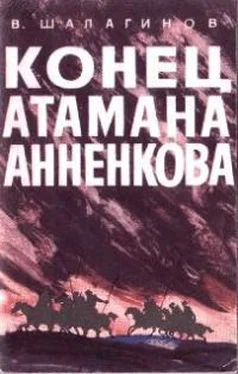 Вениамин Шалагинов Конец атамана Анненкова обложка книги