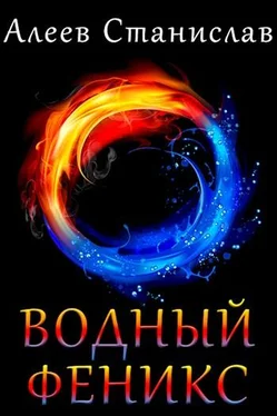 Станислав Алеев Водный Феникс обложка книги