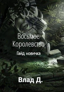 Владислав Добрый Гайд новичка обложка книги