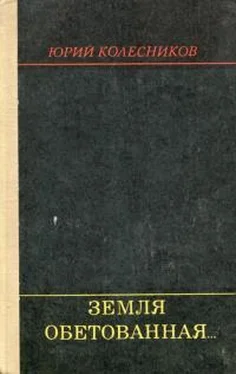 Юрий Колесников Земля обетованная... обложка книги